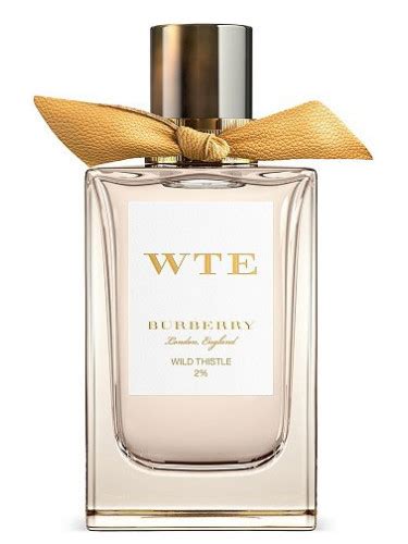 Wild Thistle Burberry for women and men